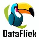 Dataflick Data Collector - Chrome Extension Logo