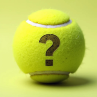 Guess the Prompt Logo