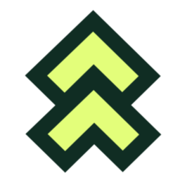 Leaderr Logo