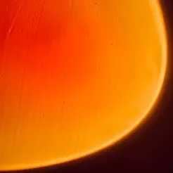 Lifelight - AI Journal Logo