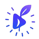 Seedream 4.0 Logo