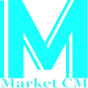 WhatsApp All-in-One Marketing and Selling Tools with AI - Chrome Extension Logo