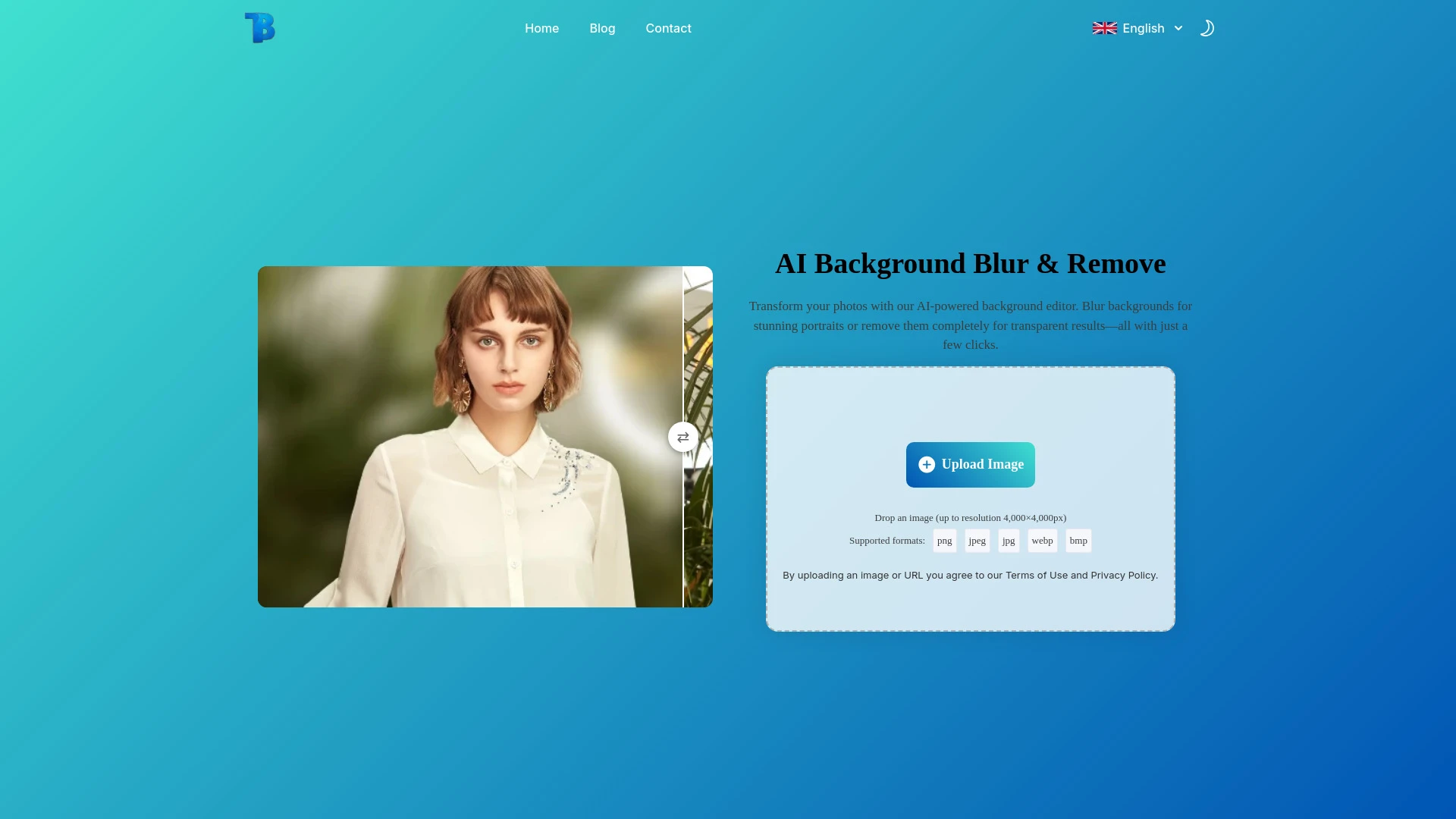 Blurbackground AI - AI Tool Ocean