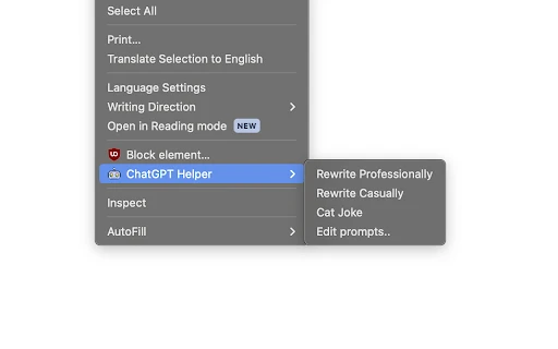 Chrome ChatGPT Helper - Chrome Extension - AI Tool Ocean