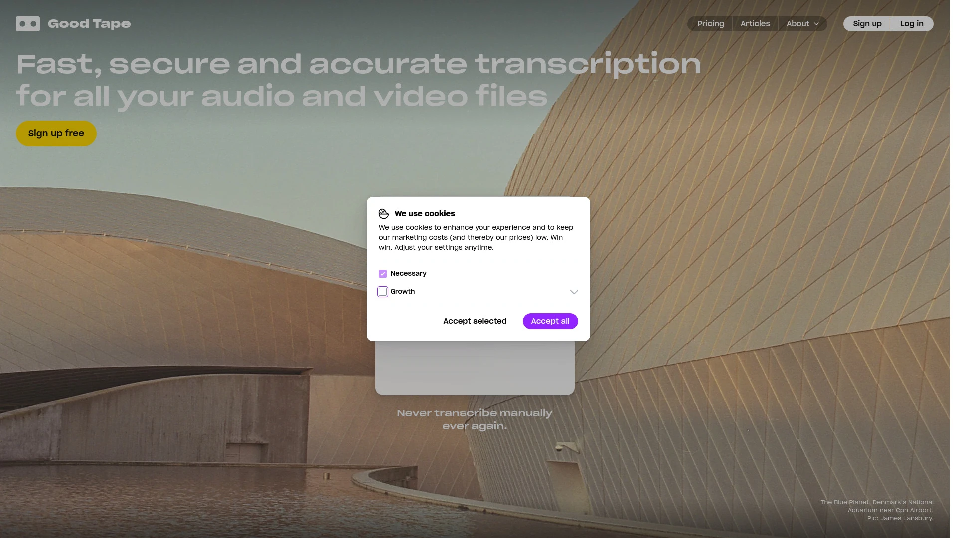 Good Tape - AI Tool Ocean