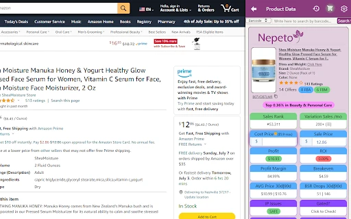 Nepeto - Chrome Extension - AI Tool Ocean