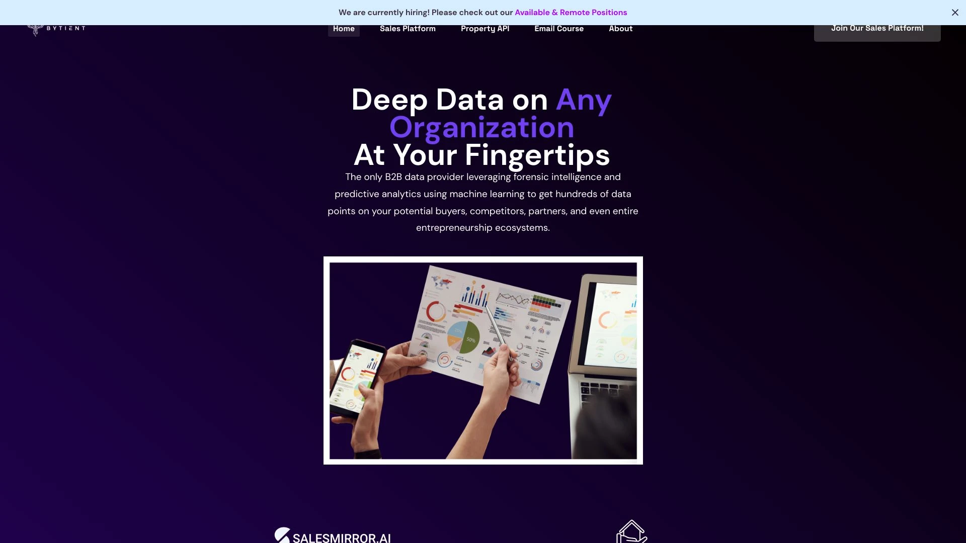 SalesMirror.ai - AI Tool Ocean