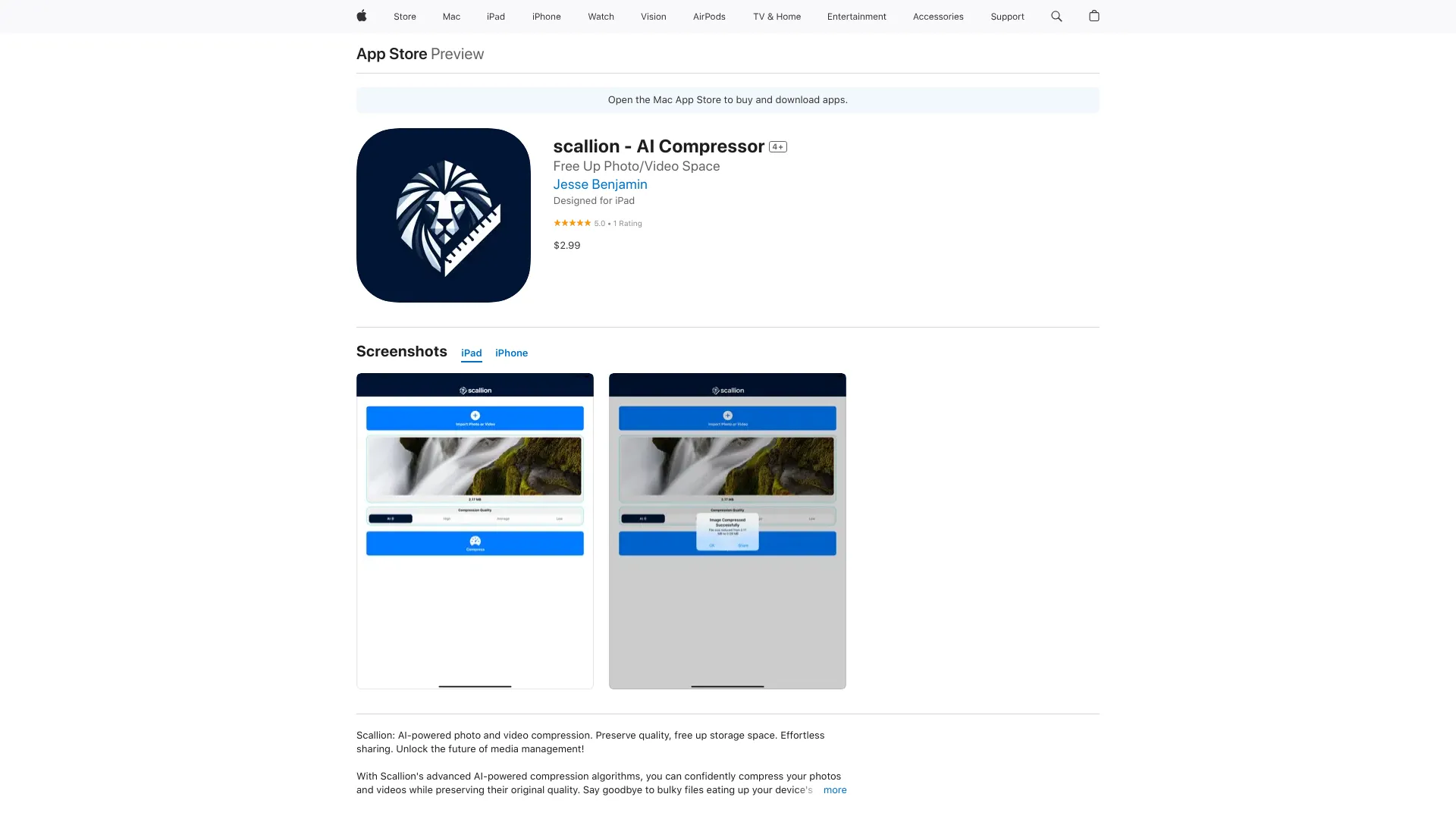 Scallion - AI Compressor - AI Tool Ocean