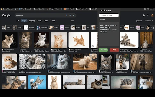 Vision-Enabled Language Model Extension - Chrome Extension - AI Tool Ocean