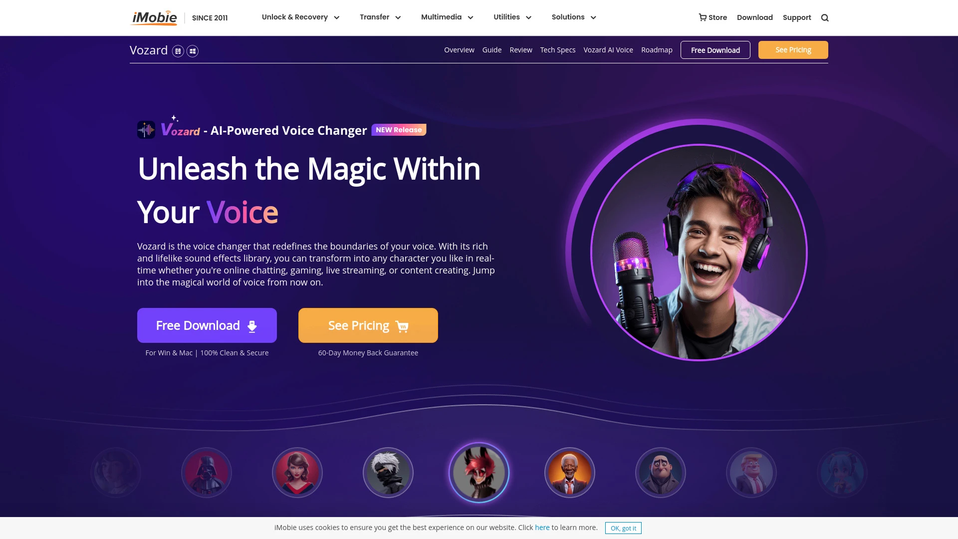 Vozard - AI Tool Ocean